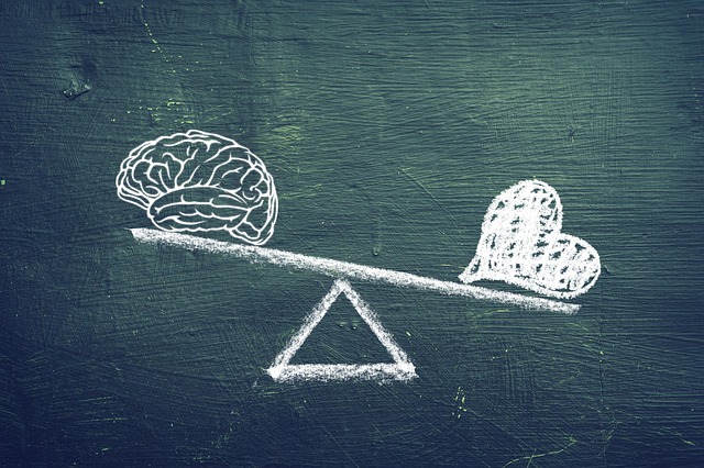 estructuras del cerebro